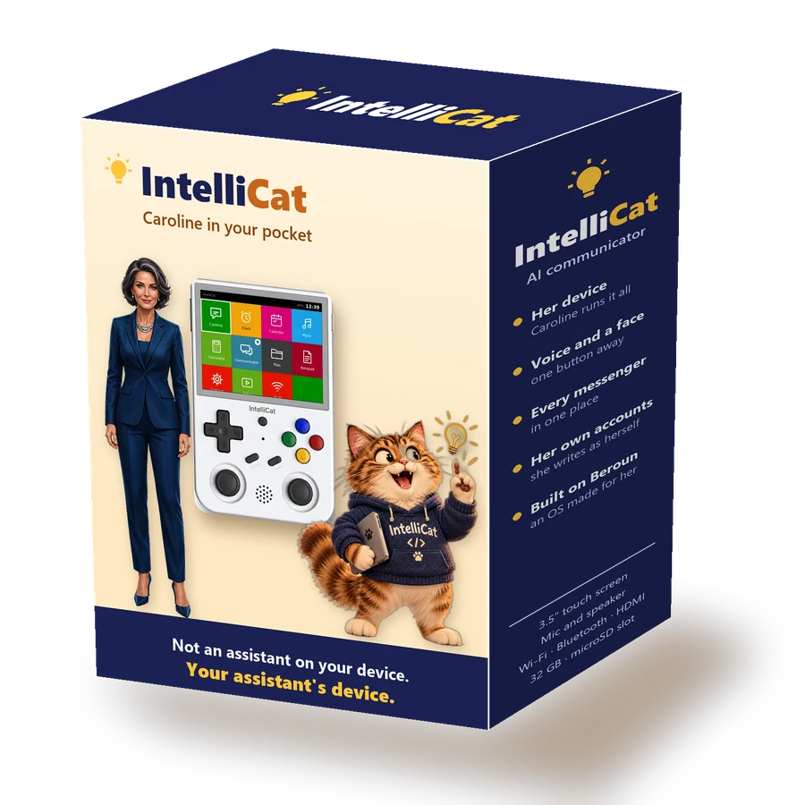 The IntelliCat box: Caroline, the console and Kocour
